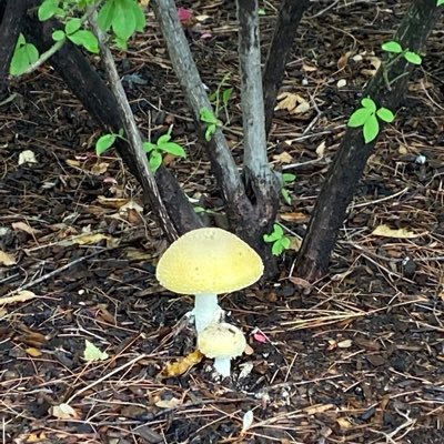 rosesfored's profile picture. just looking for the little things in life…