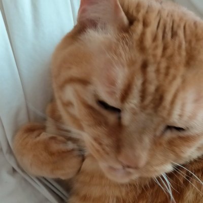 サイリさんのプロフィール画像