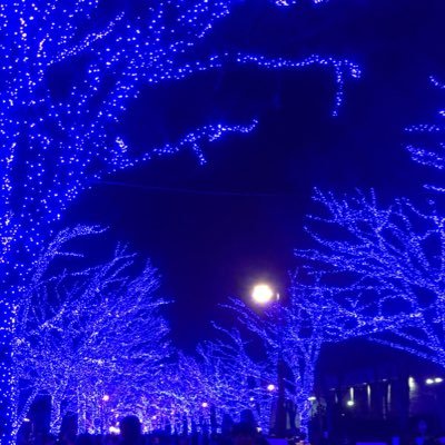 m_sh9x's profile picture. 24