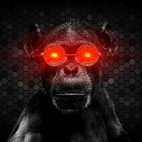 Colored Ape 🦍(@Colored_ape) 's Twitter Profile Photo