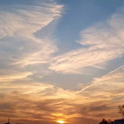 koharusan306's profile picture. 今日も空がきれいだなぁ