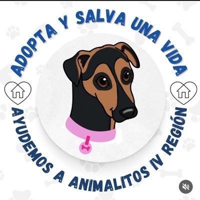 Animalitos4_iv_'s profile picture. Rehabilitamos y ayudamos a los que no tienen voz 🐾
Ayúdanos, siendo parte y aportando 🙏🏻