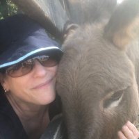 GigiRNC (@gigirnc) 's Twitter Profile