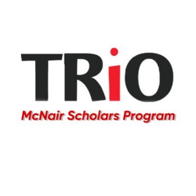 This program offers faculty mentoring, research experience and other academic opportunities with goals of increasing the number of Ph.D. recipients.