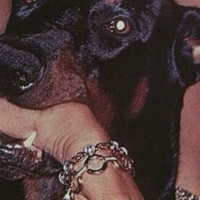 loneb0ne's profile picture.