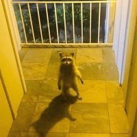 Masaki (@ikasam1) 's Twitter Profile Photo Masaki (@ikasam1) 's Twitter Profile Photo