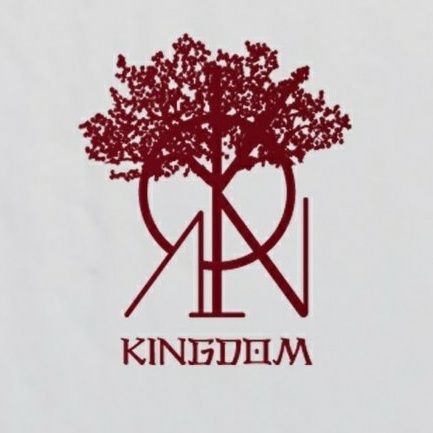 Acá podrás encontrar traducciones al español de la actualizaciones de #KINGDOM en weverse