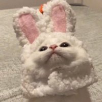 麥 (@_dott__) 's Twitter Profile