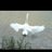 verity1812's profile image