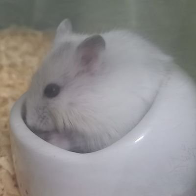 なんなんさんのプロフィール画像