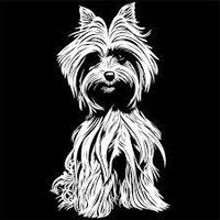 Yorkie Lover Community(@yorkiecommunity) 's Twitter Profile Photo