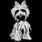 yorkiecommunity's profile image