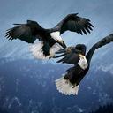 jerry Odonnell - @prophetsfriendj - Twitter