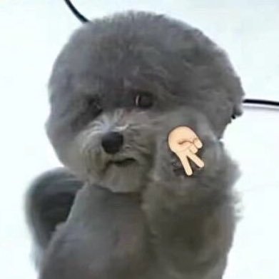 evelynriv's profile picture. 