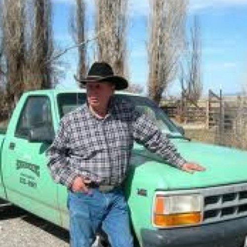 budhastings's profile picture. 