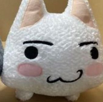 saucyboss97's profile picture. i like cats