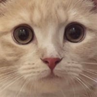 セラピスト【拓】 (@sasuke20241193) 's Twitter Profile