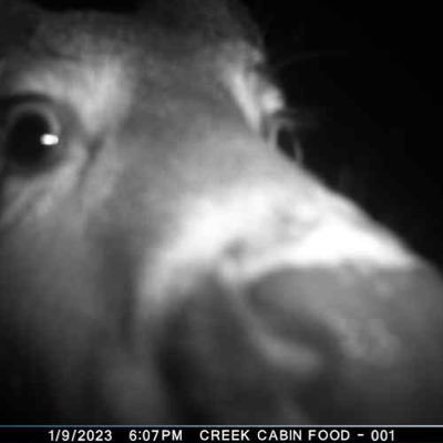 shorter_aaron's profile picture. Just me. Hunting is fun.