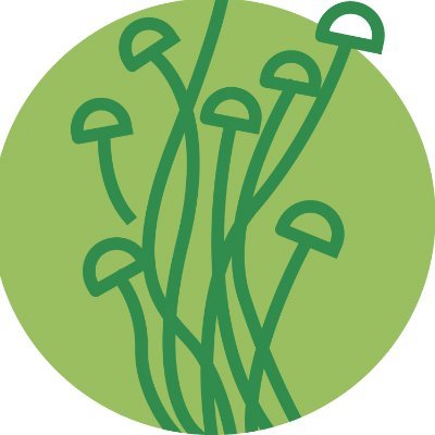 wlsw5050's profile picture. 🍄Medicinal Mushroom Specialist | 20+ Yrs Exp | OEM/ODM Services | Quality Assurance | Elevate Your Brand! 🌿💖 DM for collabs. Follow for updates! 🚀