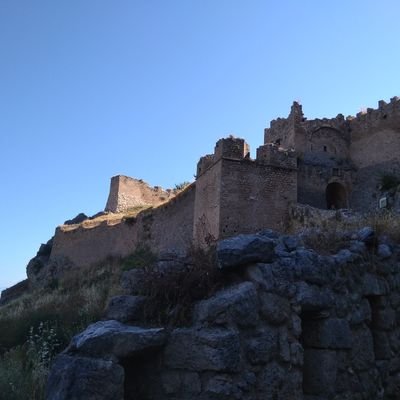 Człowiek z Wysokiego Zamku Profile