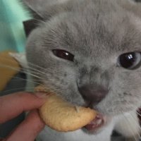 Claudia H. (@claudia75266026) 's Twitter Profile Photo Claudia H. (@claudia75266026) 's Twitter Profile Photo