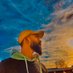 Mousa Almasalmah (@mousaalmasalmah) Twitter profile photo Mousa Almasalmah (@mousaalmasalmah) Twitter profile photo