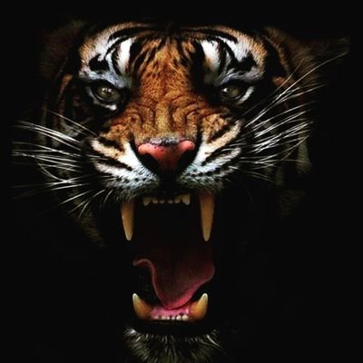 ParthaSBiswas2's profile picture. #Business #Enterprenuership# Mining #Trading #ImportExport #Sports #Football #Musical Instrument # M7sic#Photography #Digital Creator #Inspirational Speech