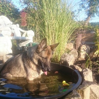 RomanoTheMen's profile picture. 