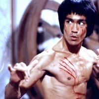 Fights Daily (@fightvideodaily) 's Twitter Profile