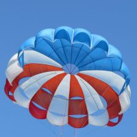 s eppard (@switchinz123) 's Twitter Profile