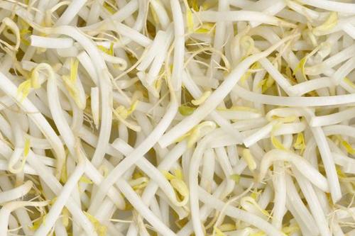 もやしページ ベビースターもやし レシピ・作り方 by SOKOSOKOまぁち