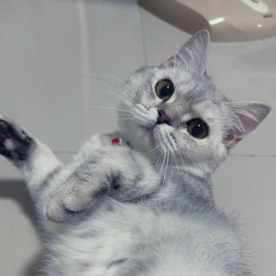 aumamimakk's profile picture. 