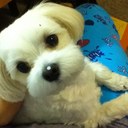 Sandra Seo - @yjSandraSeo - Twitter