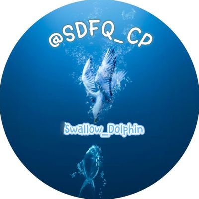 SDFQ_CP