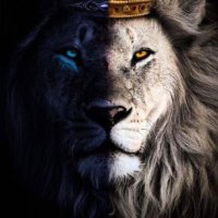 KÏÑG 🦁(@TipsterKingA) 's Twitter Profile Photo