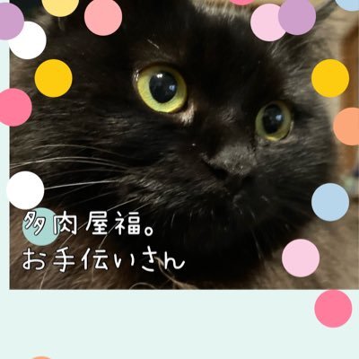 多肉屋福。お手伝いさんです。2025年もお手伝いさんor暴走旦那で頑張ります🔥Instagramもチェックお願いします✨たまに、facebookもやってます😊