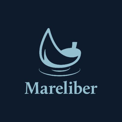 mareliberfilm Profile Picture