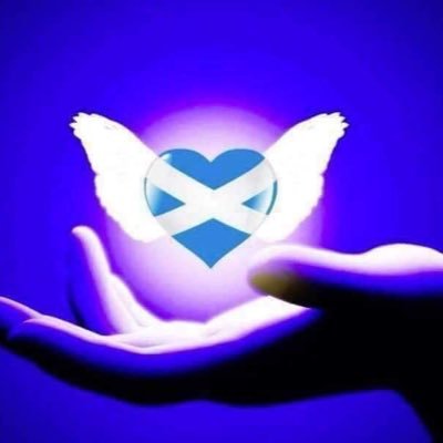 BSc Microbiology MSc Research NHS Activist Yes to Scottish Independence Light Seeker