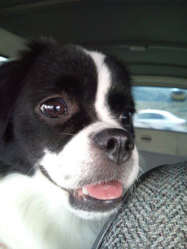 masako55417's profile picture. 青森県出身。今は岩手県在住。
焼肉、ビール大好き。
かわいいワンちゃん大好き！