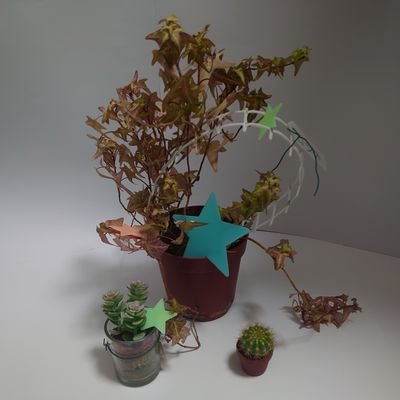 Pookies、FFなど
よろしくお願いします