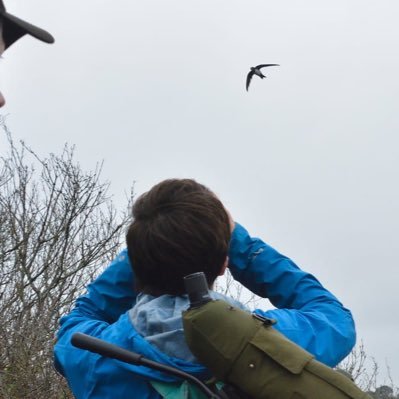 Entomologist, naturalist; part-time birder / twitcher; BSc Eco & Conservation @ Exeter Uni Cornwall; CPFC