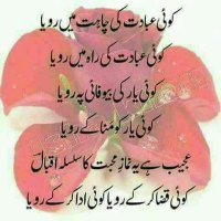 M.K.jamali (@khalilullahjam4) 's Twitter Profile