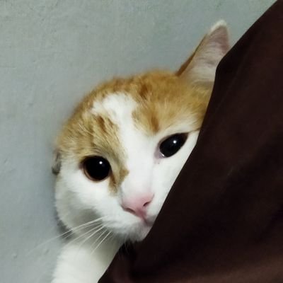 https://t.co/daJs4vsPu1