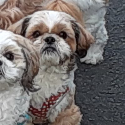 z6pXYIYRQ2YOeCk's profile picture. 