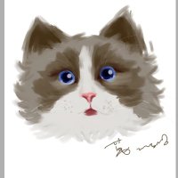 jackwang ☉ ℝ ∀ (@wangxiancai1) Twitter profile photo