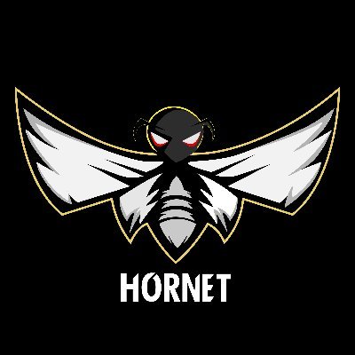 hornetdefiant Profile Picture