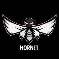 Hornet (@hornetdefiant) 's Twitter Profile