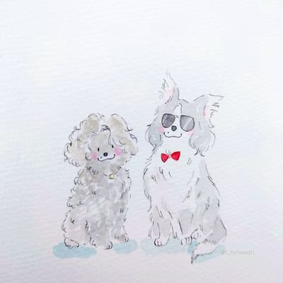 ひまわりさんのプロフィール画像