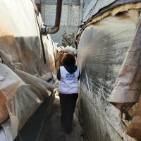 Natalia MaRCoR (@nataliamarcor) 's Twitter Profile Photo