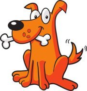 vycvik_doggie's profile picture. 